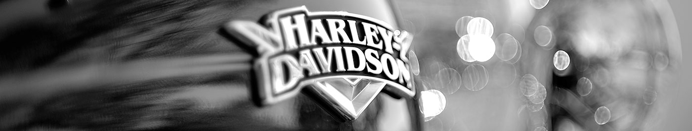 Bon cadeau balade en Harley Davidson